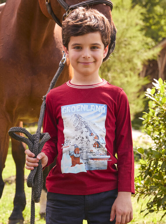 Camiseta Groenlandia LARENAGE / 24H3PGR2TML501