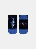 Calcetines azules de punto fino con estampado de punto jacquard y dibujo de tiburón KLOCHAGE / 24E4PGS1SOQC234