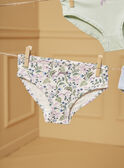 Pack de 5 bragas LUIZETTE / 24H5PF51SLR005