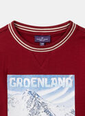 Camiseta Groenlandia LARENAGE / 24H3PGR2TML501