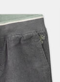 Pantalones Gris de Terciopelo LADURAGE / 24H3PGQ1PANJ909