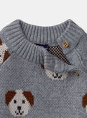 Jersey jacquard de perros LAOREL / 24H1BGQ1PUL943