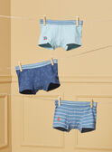 Pack de 3 boxers dinosaurio LUIBOXAGE / 24H5PG52BOXC242