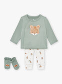 Conjunto caqui LODOVIC / 24H0CG11ENS604