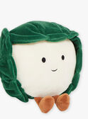 Coliflor verde de peluche SMAPE0088CHOUX / 23J7GM42DO2099
