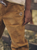 Pantalón ancho beige de terciopelo GLAVELTAGE / 23H3PGI1PANI819