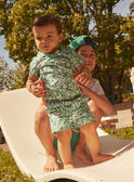 Camisa verde LABART / 24H1BGI3CHMG624