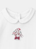 Body de manga larga con cuello LANORA / 24H1BFQ2BOD001