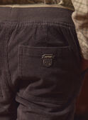 Pantalones Gris de Terciopelo LADURAGE / 24H3PGQ1PANJ909