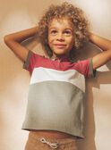 Polo colourblock con dinosaurio FRIPLAGE1 / 23E3PGD1POL628