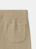 Leggings de canalé lisos MACORENTIN / 25E1BG81LG080