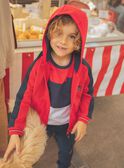 Sudadera bicolor con capucha FEGILAGE / 23E3PGB1GIL506