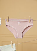 Pack de 5 bragas LUIZETTE / 24H5PF51SLR005