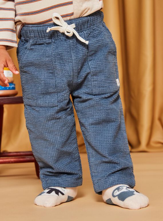 Pantalón azul grisáceo de pana DASECTOR / 22H1BGY2PAN205