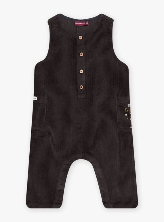 Peto de terciopelo gris antracita DALOUIS / 22H1BGR1SAL941