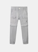 Pantalón cargo gris KOZIPAGE / 24E3PGD1PAN218