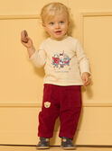Pantalones de pana  LASAM / 24H1BGR1PAN501