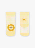 Calcetines rayas jacquard león FAARNOLD / 23E4BG82SOQ001