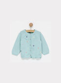 Light green Cardigan NAORTENSE / 18E1BFJ2CAR629