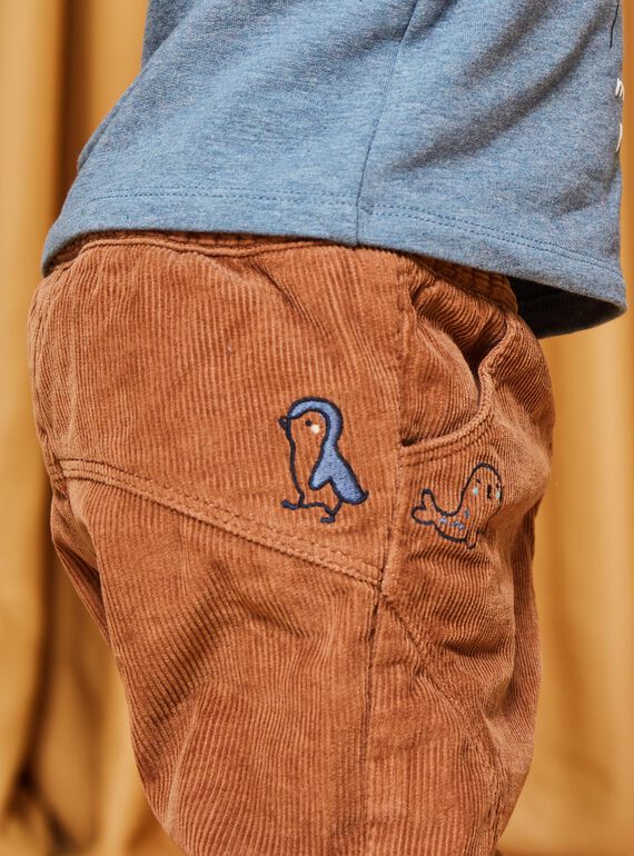 Pantalón marrón de pana DASCOTT / 22H1BGY1PAN804