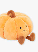 Calabaza de peluche naranja SMAPE0087CITR / 23J7GM43DO2099