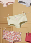 Pack de 5 culottes LUIBOETTE / 24H5PF52SHY001