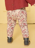 Legging con estampado  LAPATRICIA / 24H1BFR1LG001