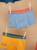 5 boxers azul, amarillo y rojo con estampado de dinosaurios GRUMAINAGE / 23H5PG32BOX716