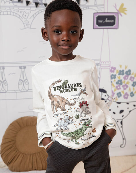 Camiseta de manga larga de color crudo con estampado de dinosaurios para  niño : comprar online - Camisetas y polos | SergentMajor