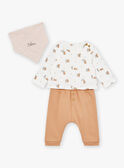 Conjunto de top, pantalón y pañuelo de color avellana y crudo LOGAN / 24H0CG13ENS821