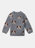Jersey jacquard de perros LAOREL / 24H1BGQ1PUL943