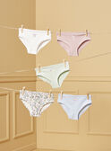 Pack de 5 bragas LUIZETTE / 24H5PF51SLR005