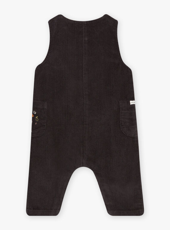 Peto de terciopelo gris antracita DALOUIS / 22H1BGR1SAL941